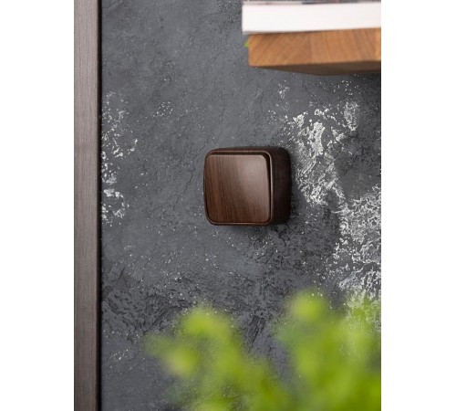 Выключатель 1-клавишный ОП Минск 10А тёмное дерево EKF  EGV10-021-40  EKF