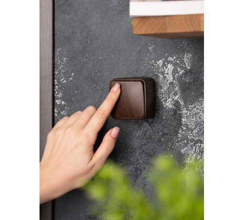 Выключатель 1-клавишный ОП Минск 10А тёмное дерево EKF  EGV10-021-40  EKF