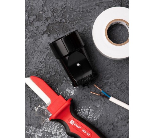 Гнездо штепсельное б/з черн. 10А 250В EKF PROxima  ASG10-30  EKF аналог ASG10-10