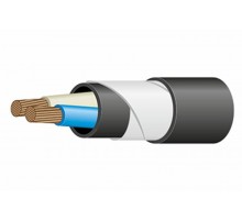 ВБШвнг(А) 2х50 мк-0,66