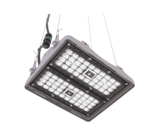 Светильник L-pixel 2/100/Г60/740/(R5)/05/MT-KM/I1-D2/220AC IP66 RAL7035 PX100-31416-124-182LEDEL