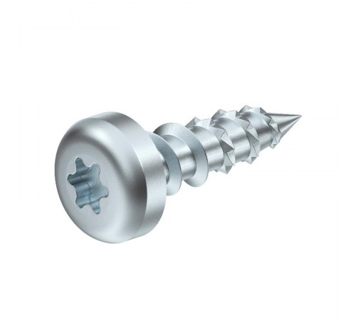 Болт 5x20 (BSKP-S5020)  3498098  OBO Bettermann