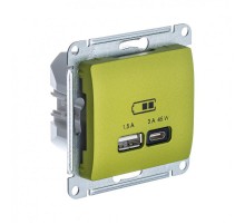 Glossa Фисташковый USB Розетка A + тип-C 45W высокоскор.заряд. QC PD  GSL001029  SE