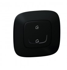 Выключатель главный беспроводной Valena Allure "Я дома/Я вне дома" антрацит Netatmo  752886  Legrand