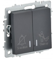 BRITE Выключ. 2-кл. с инд. отел. 10А ВС10-2-9-БрГ граф.  BR-V20-2-10-K53  IEK