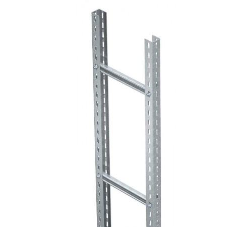 Вертикальный лоток лестничного типа 300x3000 (SLM 50 C40 3 FT)  6010474  OBO Bettermann