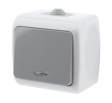 5-102-03 Выключатель с подсветкой, 10А-250В, IP54, ОУ, Atlantic, серый  Б0050941  Intro