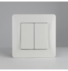 Выключатель двухклавишный, 10А, 220-250V (белый)  201102  SPL