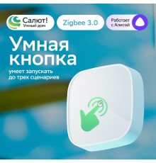 Умная кнопка   SBDV-00032  Sber