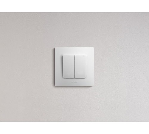 Etika Белый Выключатель 2-х клавишный, 10А, винтовые клеммы  672202  Legrand