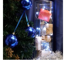 Светодиодная гирлянда CL570 линейная 2м + 0.5м 5000К с питанием от батареек  32365  Feron