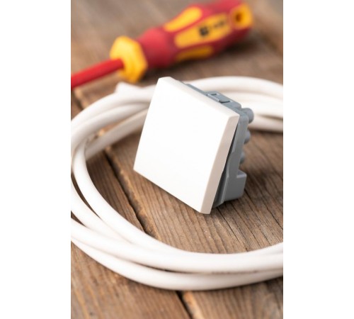 Выключатель 10А,  1 клавишный без индикатора  E2MV10-021-10  EKF