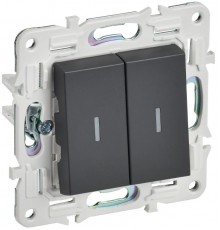 SKANDY Выключатель 2-клавишный проходной с индикацией 10А SK-V10T титан  SK-V22-1-10-K48  IEK