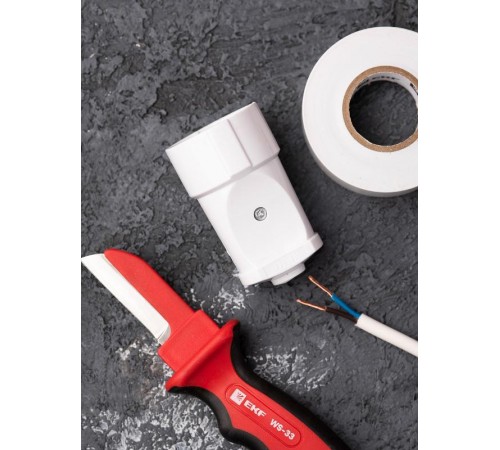 Гнездо штепсельное б/з бел. 10А 250В EKF PROxima  ASG10-10  EKF