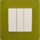 Etika Зеленый папоротник Рамка 1-ая  672541  Legrand