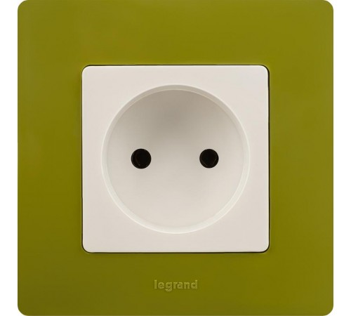 Etika Зеленый папоротник Рамка 1-ая  672541  Legrand