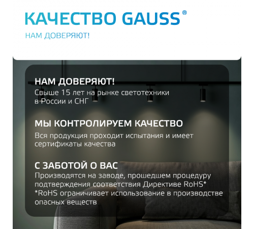 Адаптер питания для подключения светильника к трековой системе (с фиксирующей шайбой) цвет черный  TR126  Gauss