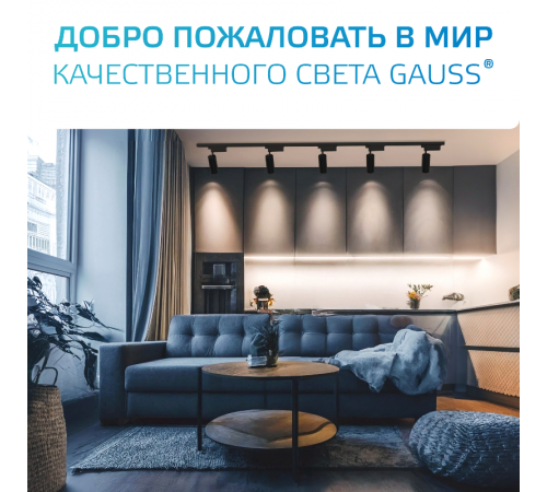 Адаптер питания для подключения светильника к трековой системе (с фиксирующей шайбой) цвет черный  TR126  Gauss