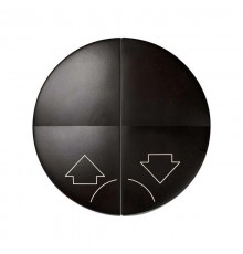 Simon 88 Клавиша (2 шт) для выключателя двухклавишного кнопочного для управления жалюзи без блокировки, с пик  88029-32  Simon