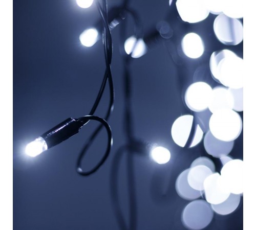 Светодиодная гирлянда ARD-EDGE-PRO-5600x900-BLACK-240LED-STD WHITE (230V, 15W)  026031  Arlight