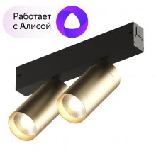 Светильник трековый акцентный DK8012-BG SMART SPOT DOUBLE 2x9W DIM 3000K-6000K, матовое золото с черным  DK8012-BG  DENKIRS