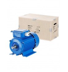 Электродвигатель АИР 90L6 1,5 кВт 1000 об/мин 1081  SQ3001-0034  TDM