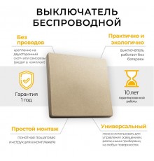 Выключатель дистанционного управления 230V 500W одноклавишный TM81, золото  41725  FERON