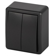 Выключатель ЭРА Эксперт 11-1204-05 двойной IP20 10АХ-250В ОУ Антрацит  Б0063026  ЭРА