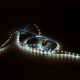 Лента светодиодная Basic LED 2835/60 12V 4,8W/m 312lm/m 3000K 8mm IP20 3m 1/100  BT002  Gauss