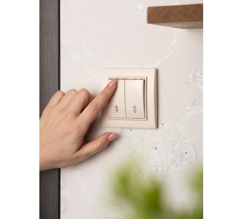 Выключатель 2-кл. СП проходной 10А бежевый Минск EKFERV10-026-20EKF