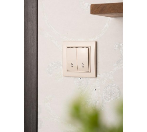 Выключатель 2-кл. СП проходной 10А бежевый Минск EKFERV10-026-20EKF