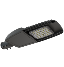 Светильник светодиодный консольный ДКУ62-100-001 Champion 730  1171310001  АСТЗ