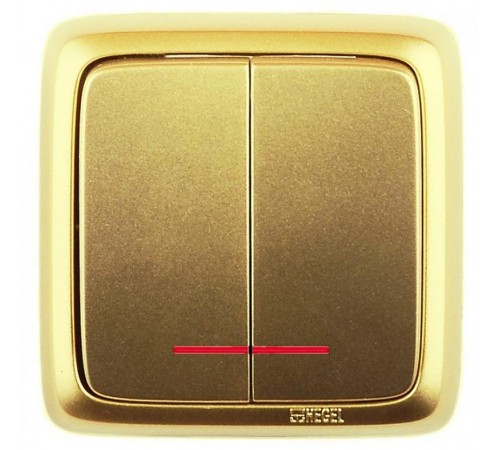 Выключатель открытой установки, двухклавишный, с индикацией, с монтажной пластиной, цвет золото  ВА10-156-07  HEGEL