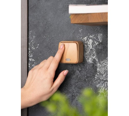 Выключатель 1-клавишный ОП Минск 10А с индикатором светлое дерево EKF  EGV10-121-30  EKF