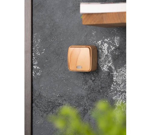 Выключатель 1-клавишный ОП Минск 10А с индикатором светлое дерево EKF  EGV10-121-30  EKF