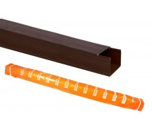 Кабель-канал 100х60 (12м) "ЭКО" 3D (бук)  SQ0402-0410  TDM