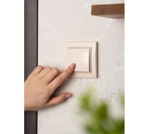 Выключатель 1-кл. СП 10А бежевый Минск EKFERV10-021-20EKF