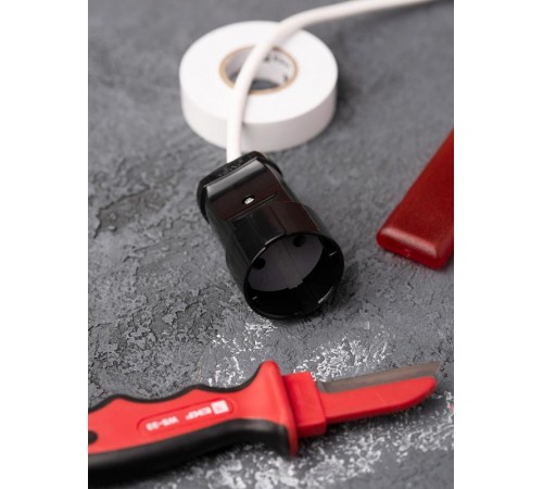 Гнездо штепсельное б/з черн. 10А 250В EKF PROxima  ASG10-30  EKF аналог ASG10-10