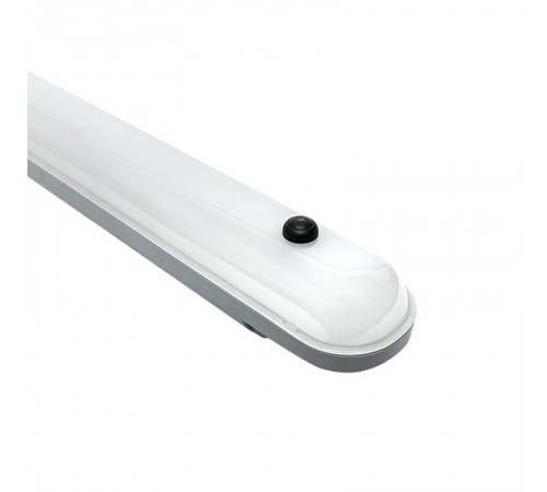 ДСП-1013А Айсберг-Э 40Вт 4000К IP65 1200мм с БАП EKF PROxima TPL-1013A-40-4000-A  EKF