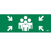 Этикетка самоклеящаяся  280х100мм "Место сбора"   LPC10-1-28-10-MSTS  IEK