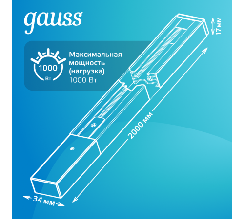Шинопровод осветительный накладной 2м черный (с адаптером питания и заглушкой)  TR104  Gauss